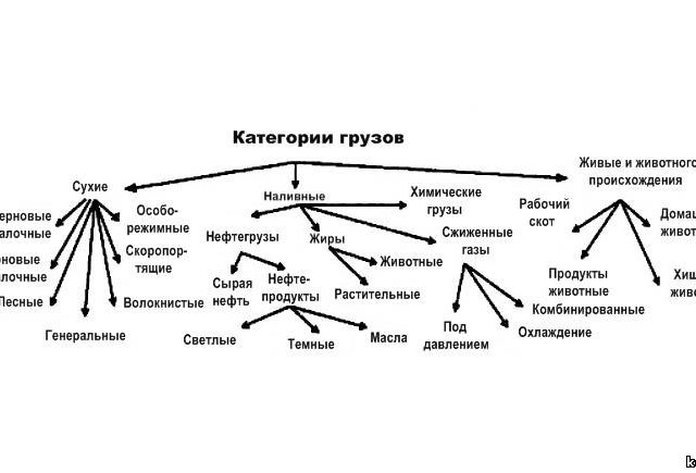 Какие грузы бывают – Полная классификация видов груза