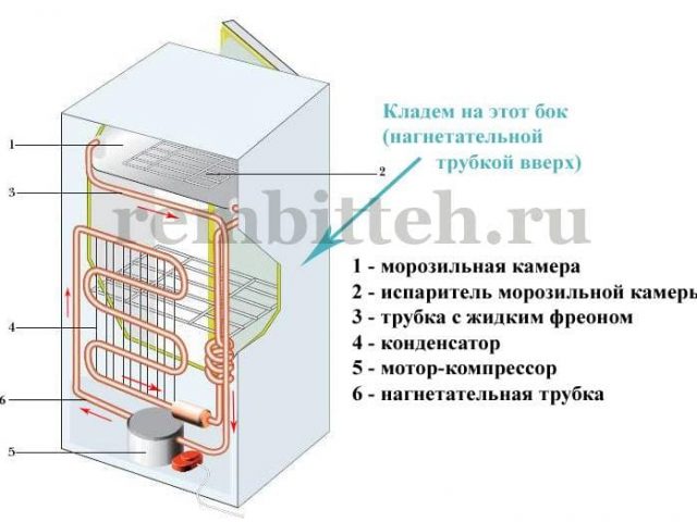 Перевозка холодильника на боку – лежа на боку в горизонтальном положении. Важные правила, как правильно перевозить, а также через сколько можно включать после?