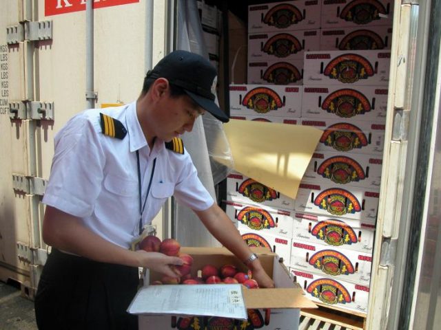 Сюрвейер кто это – Кто такой портовой и морской сюрвейер?